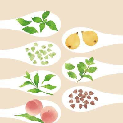 漢方治療を行っています